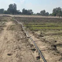 زمین کشاورزی