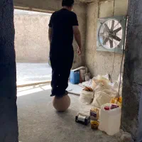 گوی گرد سایز ۳۵ سانت رزینی آباژور جلومبلی
