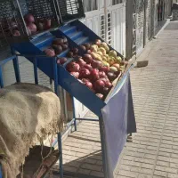 بساط میوه کامل به فروش میرسد|فروشگاه و مغازه|تربت‌حیدریه, شهرک ولیعصر|دیوار
