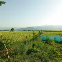 زمین مسکونی  در دل طبیعت  منطقه ویلا سازی|فروش زمین و ملک کلنگی|صومعه‌سرا, |دیوار