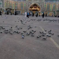کاظمین کربلا نجف|تور و چارتر|اهواز, طالقانی|دیوار