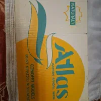 کتونی زنانه مدل VERUS|کیف، کفش، کمربند|کرج, شهرک البرز ۳|دیوار