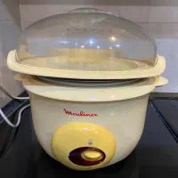 پلو پز وبخار پز مولینکس|اجاق گاز و لوازم برقی پخت‌وپز|شیراز, قدوسی غربی|دیوار