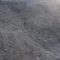 فروش کود حیوانی