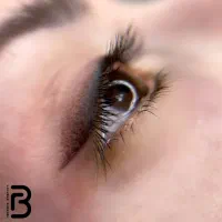 نیازمند مدل میکرو توسط مربی رایگان|خدمات زیبایی و سلامت|اصفهان, خانه اصفهان|دیوار