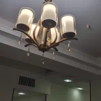 دو عدد لوستر پنج شاخه