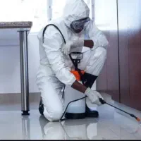 سم پاشی ویلا و انواع درخت  از جمله افت  قارچ حشره