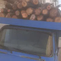 خریدچوب
