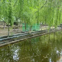 فرصت استثنایی رو دریاب|فروش خانه و ویلا|کویرات, |دیوار