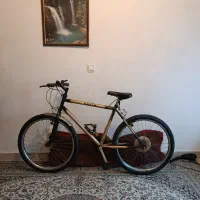 دوچرخه کوهستانی
