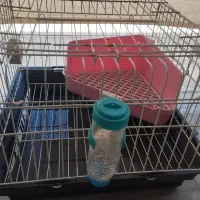 قفس خرگوش نو