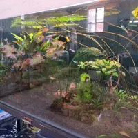 بار جدید ماهی رسید AQUA SEYF