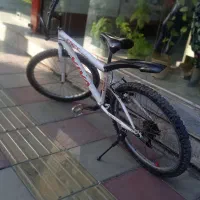 دوچرخه ویوا26 عروسک