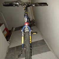 دوچرخه 20دماوند