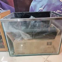 آکواریوم|ماهی|شهرضا, |دیوار