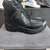 پوتین امریکایی دوباره شارژ شد