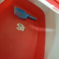 توالت و خاک گربه|لوازم جانبی حیوانات|آمل, |دیوار