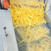 فروش خط کامل تولید سیب‌زمینی نیمه آماده