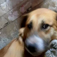 ثگ محربان و اچطمایی شدید