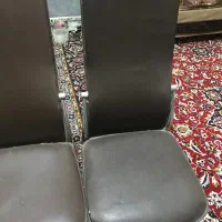 صندلی|میز و صندلی غذاخوری|قم, چهل درخت‎|دیوار