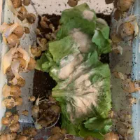 سرمایه گذاری با هزینه بسیار بسیار کم