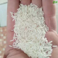 برنج طارم به شرط پخت و عطر