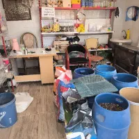 پرنده سرای تیکو