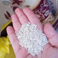 طارم گرگان|خوردنی و آشامیدنی|قم, آذر (نکویی)|دیوار