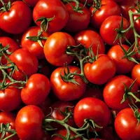 آبگیری گوجه و انگور درب منزل شما