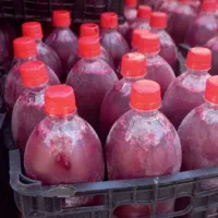 آبگیری انار ، آب انار ، رب انار ، انار|خوردنی و آشامیدنی|کوهدشت, |دیوار