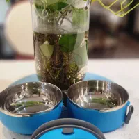 ظرف چاشت دوطبقه