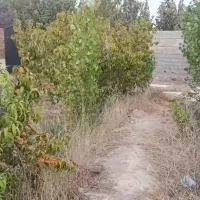 باغچه ۷۵۰ متری پدم بلوار کشاورز|فروش خانه و ویلا|کرج, شهرک جهان‌نما|دیوار