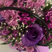 خط رند به شماره 66245000