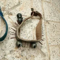 کمربند زنگ سگ قلاده سگ