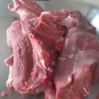 گوشت گرم شترمرغ