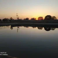 سرمایه گذاری صادرات