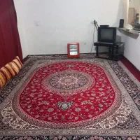 سویت شبانه  خیابان دانش ۱۹ ودانشجو