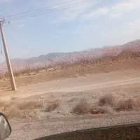 فن-اوران2