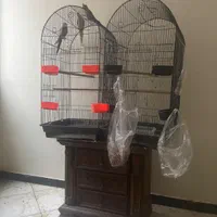 قفس پرنده