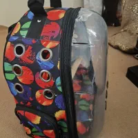 باکس و کوله عروس هلندی و طوطی برزیلی