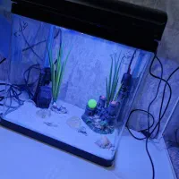 دوتا آکواریم برندشرکتی آکواهمراه تجهیزات|ماهی|تهران, چهارصد دستگاه|دیوار