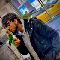 شهر شاه طوطی