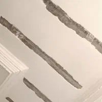 گچکاری ولکه گیری