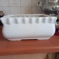 گل و گیاه|گل و گیاه طبیعی|تهران, هاشم‌آباد|دیوار