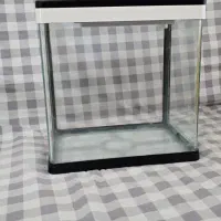 آکواریوم دلسا k250|ماهی|تهران, منیریه|دیوار