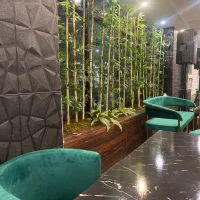 سالن کار خانم و اقاو کارگر ساده اقا