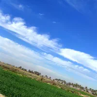 اجاره زمین کشاورزی 3هکتار برای کشت گندم و جو