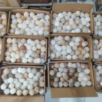 چراغ خواب های سنگ نمک|چراغ خواب و آباژور|کرج, خرمدشت|دیوار