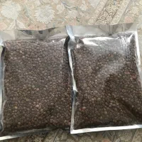 پخش قهوه و پودریجات دیاموند