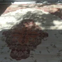 گلیم فرش 9 متری|فرش|مشهد, مصطفی خمینی|دیوار